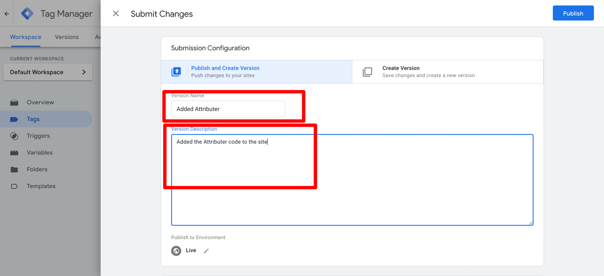 The Tag Manager submission screen with Publish and Create Version selected